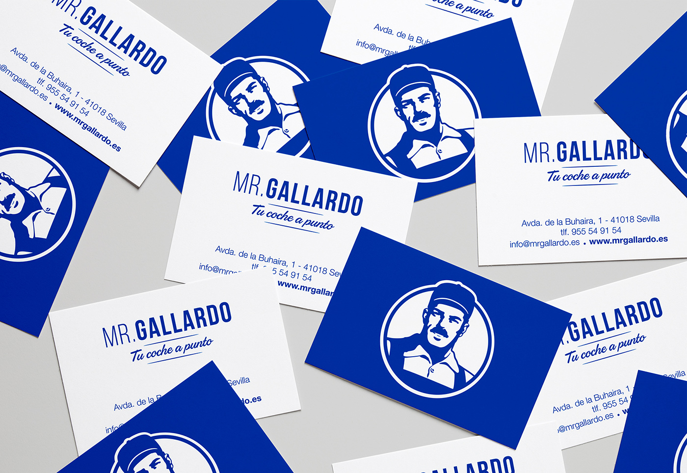 Imagen del proyecto Mr. Gallardo