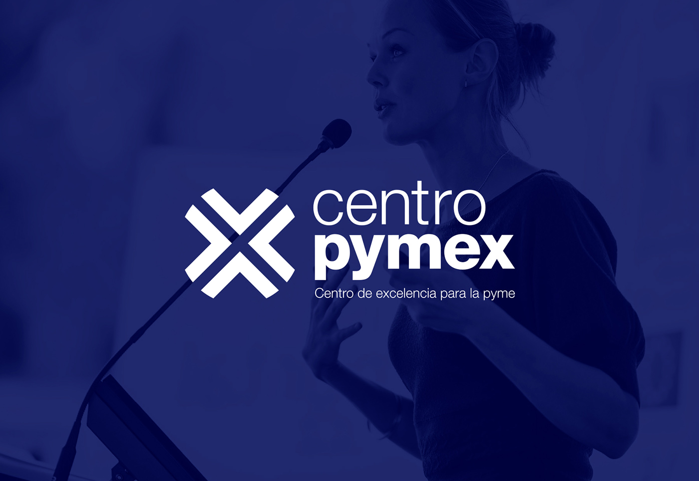 Imagen del proyecto Centro Pymex