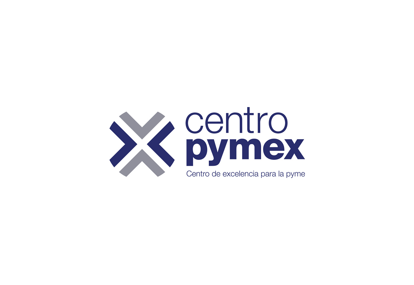 Imagen del proyecto Centro Pymex